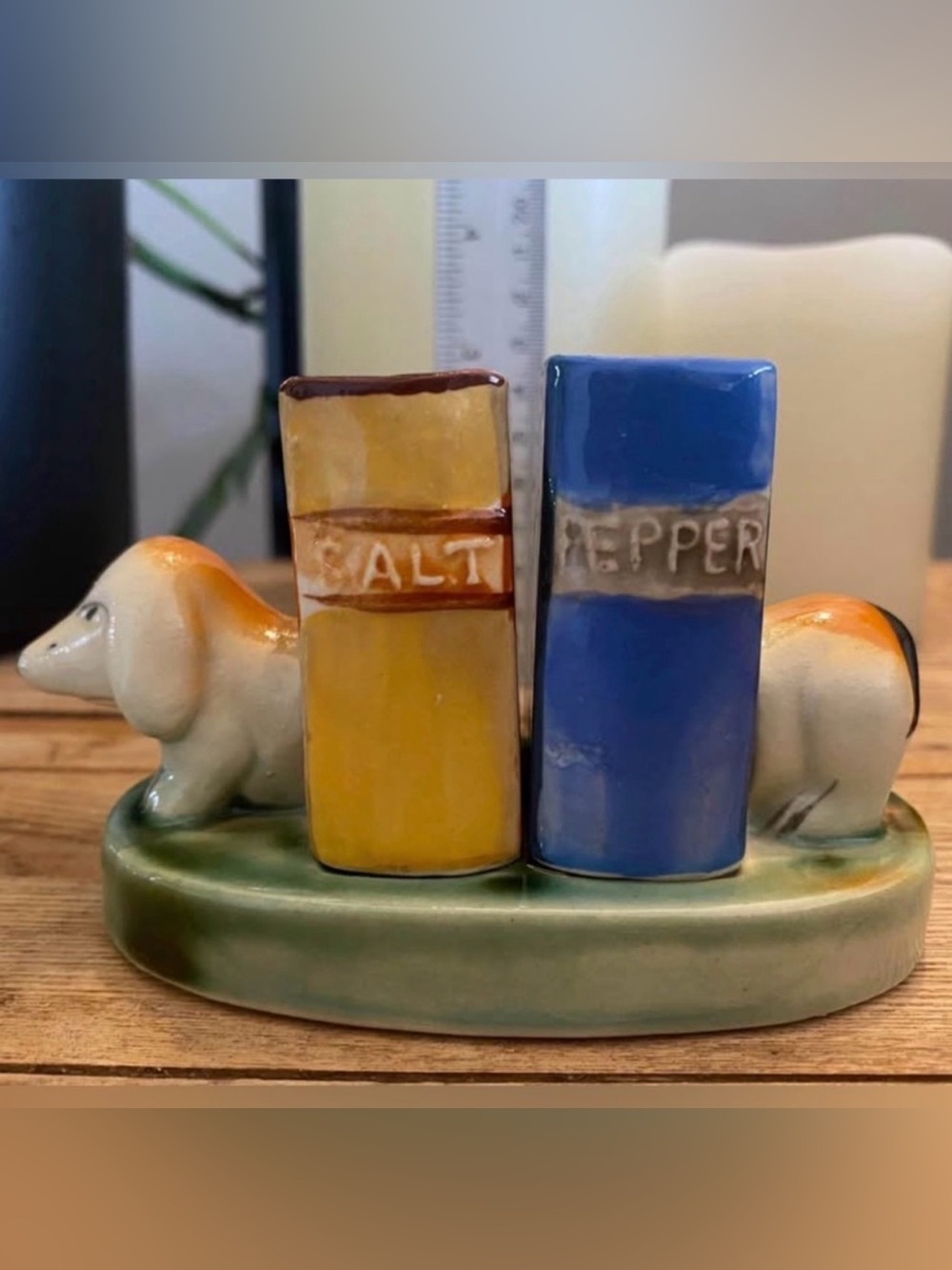 VTG Dachshund and Books Salt and Pepper Shaker Set Hand Painted Weiner Dogs 3 pc